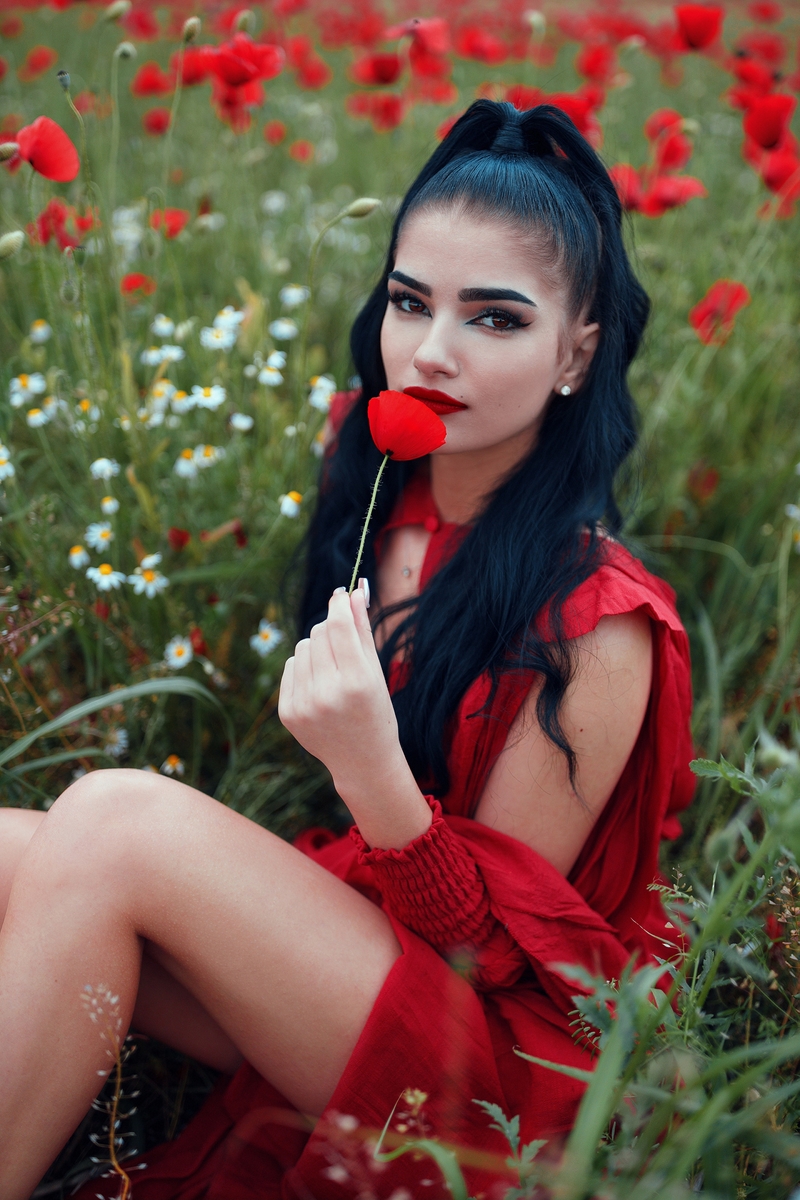 The Red Dress Chronicles Fields of Desire